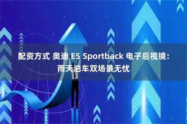配资方式 奥迪 E5 Sportback 电子后视镜：雨天泊车双场景无忧